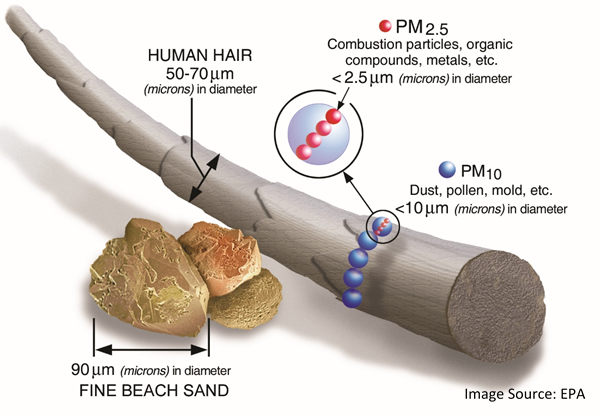 A diagram shows the relative size of a human hair, beach sand, PM10, and PM2.5. The width of a grain of beach sand is roughly 90 µm in diameter, the width of a human hair is 50-70 µm in diameter, PM10 includes particulates less than 10 µm in diameter (dust, pollen, mold, etc), and PM2.5 includes particulates less than 2.5 µm in diameter (combustion particles, organic compounds, metals, etc).
