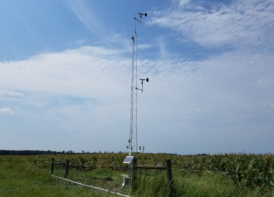 A photo of the State Climate Office's ECONet weather station in Plymouth, NC