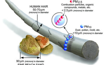 Diagram showing the size of fine particulate compared to a strand of hair and sand.