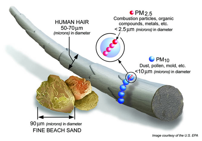 Diagram showing the size of fine particulate compared to a strand of hair and sand.