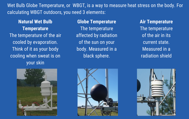 The three elements used to calculate Wet Bulb Globe Temperature. 
