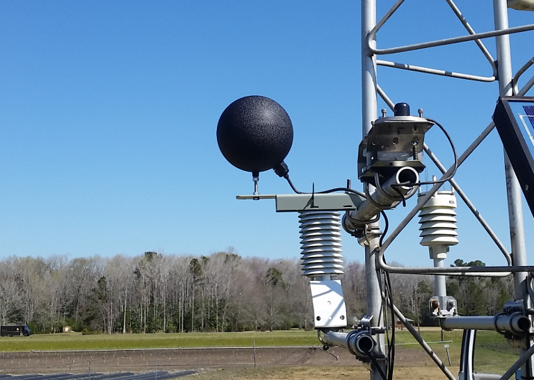 The black globe thermometer at our Castle Hayne ECONet station. 